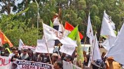 Petani Laoli hingga Loeha Raya Bersatu di Hari Tani, DPRD Luwu Timur Didesak Bentuk Pansus